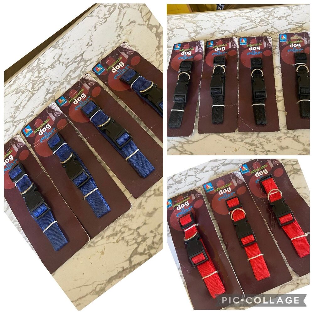 Lot Of Dog Collar/ Accessories/ Various Sizes/ 15 Pieces Included/ Overstock